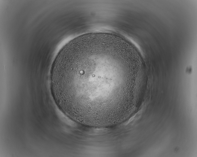 X0000091451471200708161248
