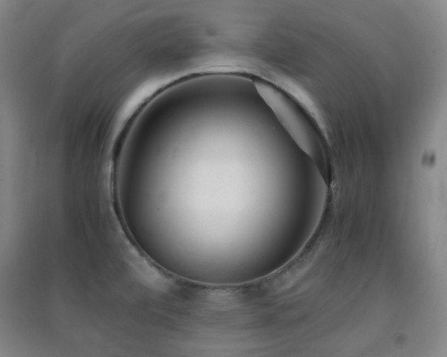 X0000091451472200708161248