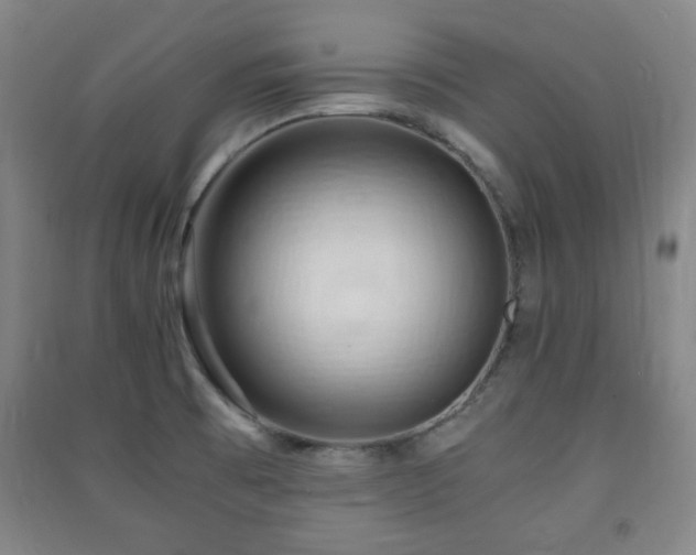X0000091451473200708161248