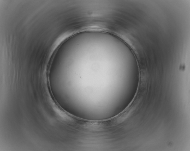X0000091451474200708161248