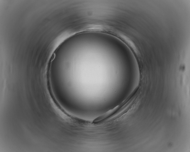 X0000091451475200708161248