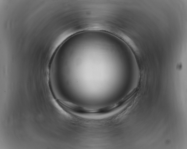 X0000091451476200708161248