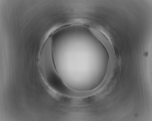 X0000091451477200708161248