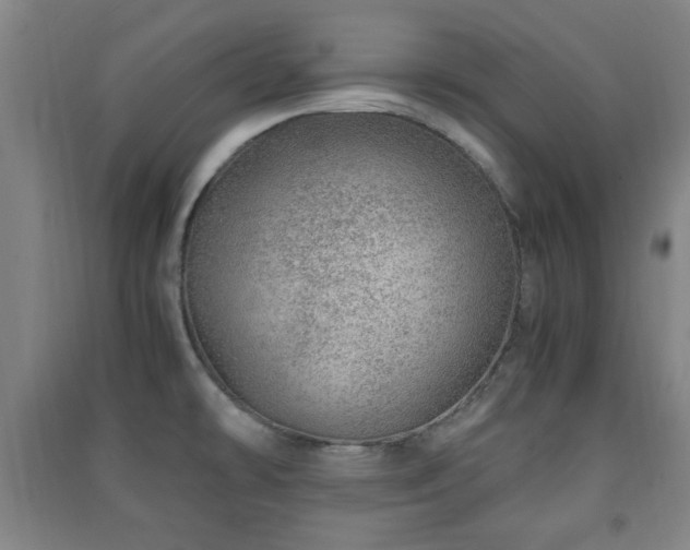 X0000091451478200708161248