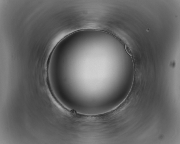 X0000091451479200708161248