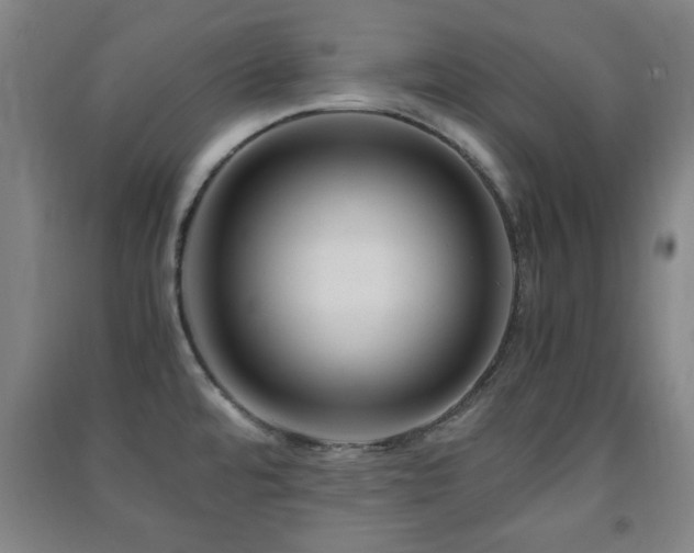 X0000091451480200708161248