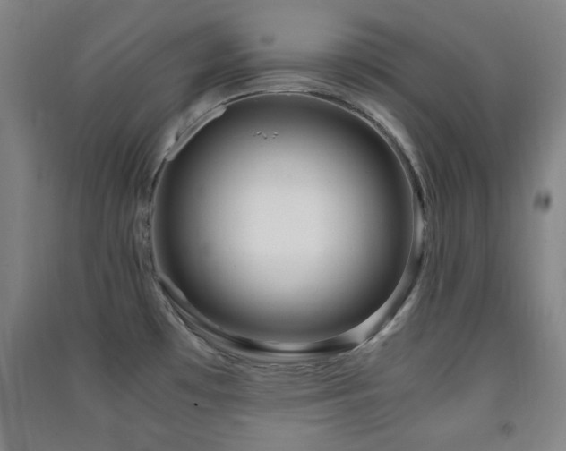 X0000091451481200708161248