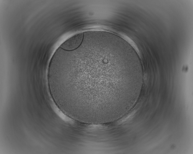 X0000091451482200708161248