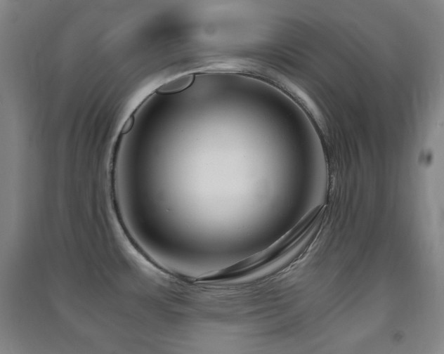 X0000091451483200708161248
