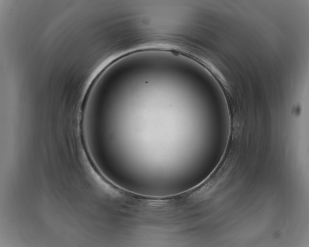 X0000091451484200708161248
