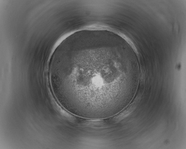 X0000091451486200708161248