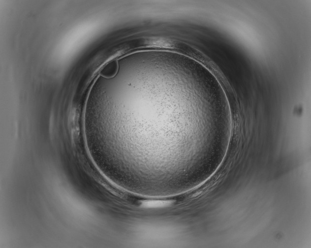 X0000091451487200708161248