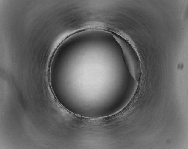 X0000091451488200708161248