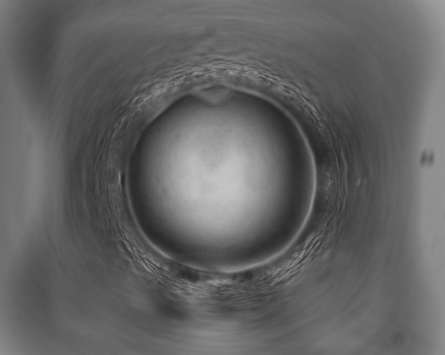 X0000091451489200708161247