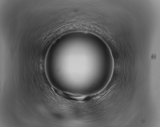 X0000091451490200708161247
