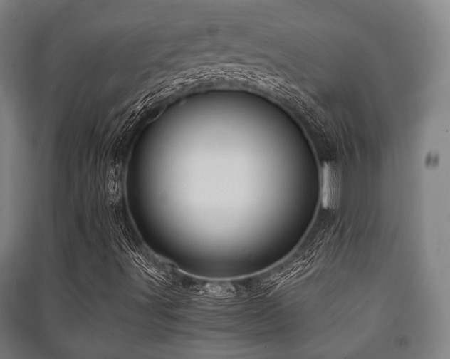 X0000091451491200708161247