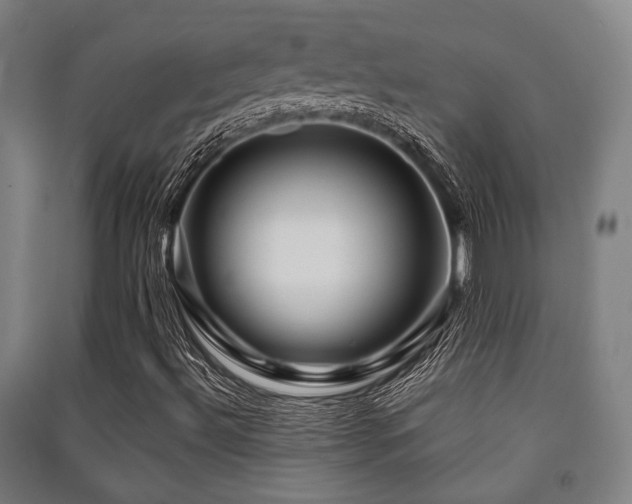 X0000091451492200708161247