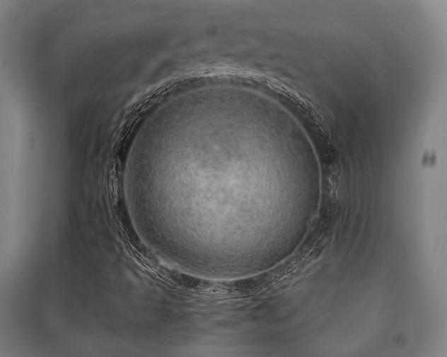 X0000091451493200708161247