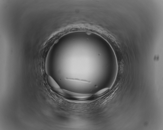 X0000091451494200708161247