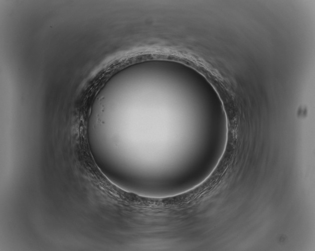 X0000091451495200708161247