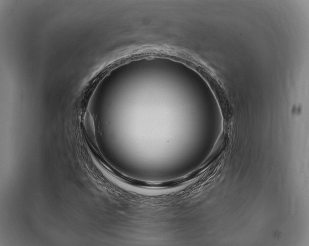 X0000091451496200708161247