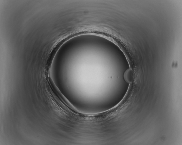 X0000091451497200708161247