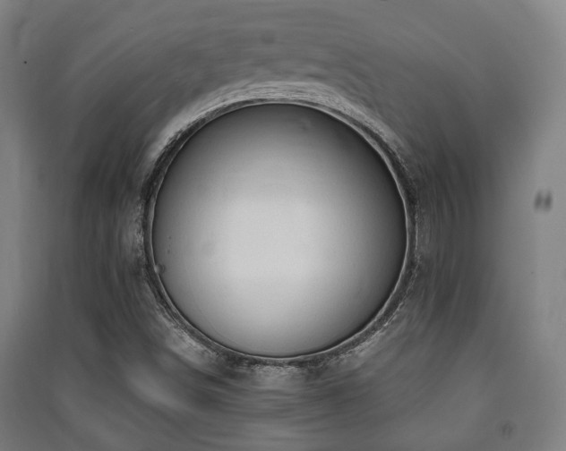 X0000091451498200708161247