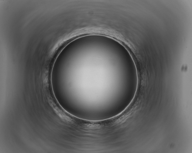 X0000091451499200708161247