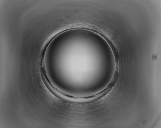 X0000091451500200708161247