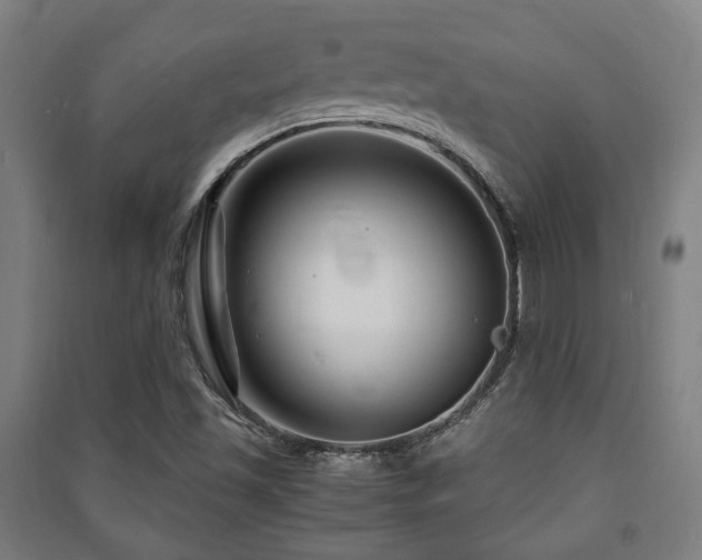 X0000091451501200708161247