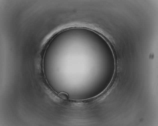 X0000091451502200708161247