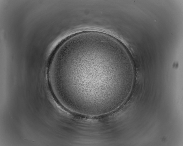 X0000091451503200708161247