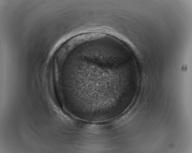 X0000091451506200708161248
