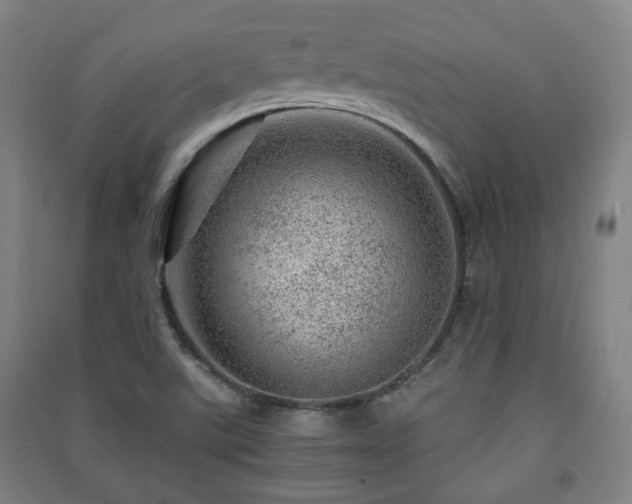 X0000091451507200708161248