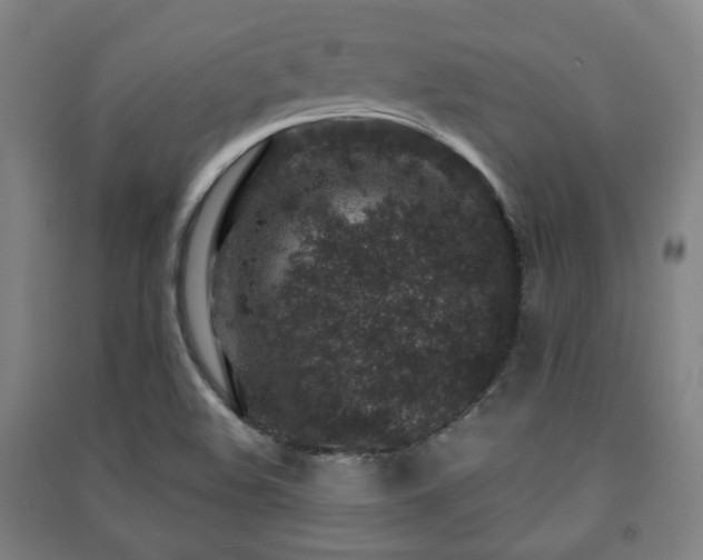 X0000091451508200708161248