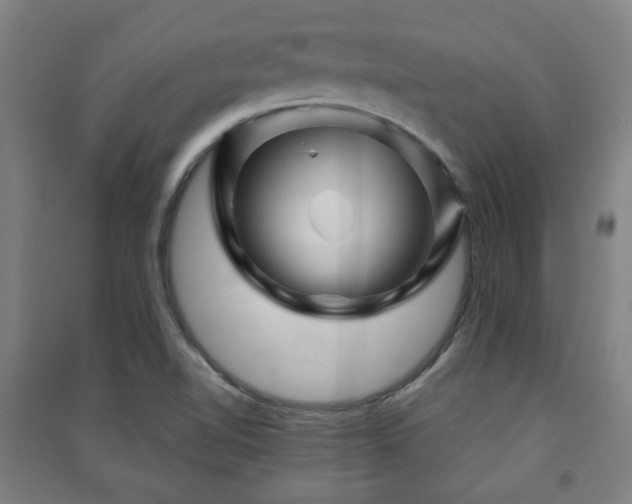 X0000091451510200708161248