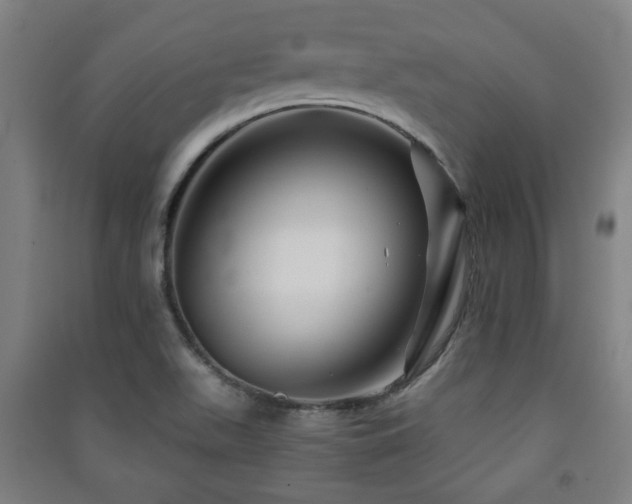 X0000091451511200708161248