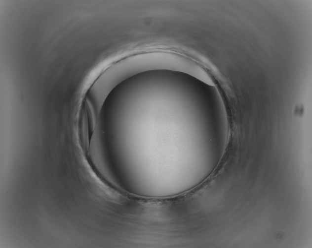 X0000091451512200708161248