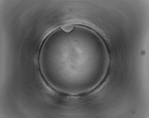 X0000091451513200708161248