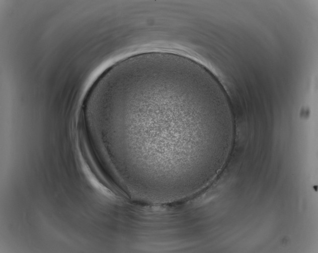 X0000091451515200708161248