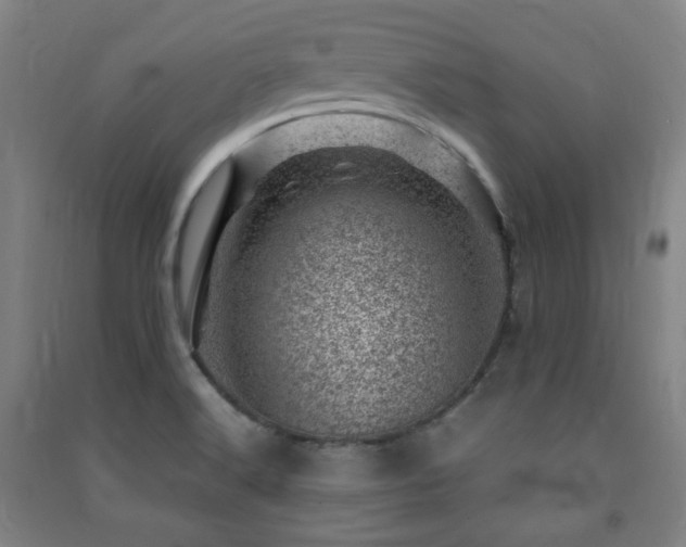 X0000091451516200708161248