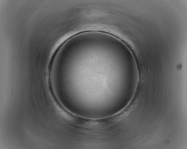 X0000091451517200708161248