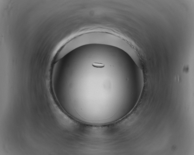 X0000091451518200708161248