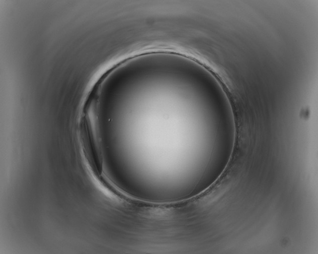 X0000091451519200708161248