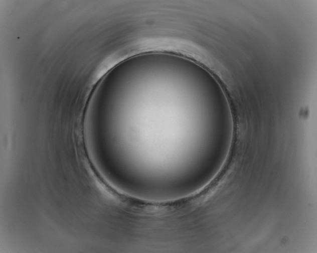 X0000091451521200708161248