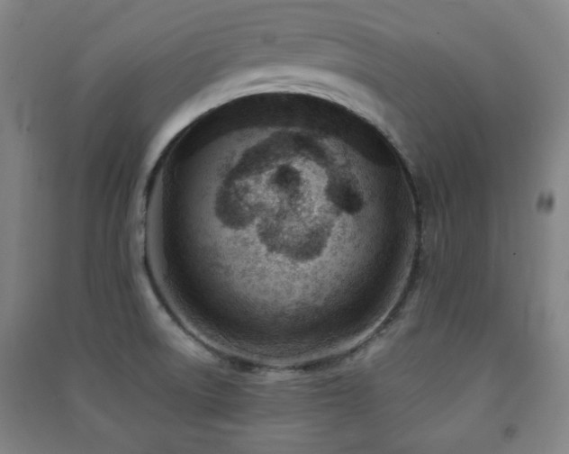 X0000091451522200708161248