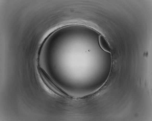 X0000091451523200708161248