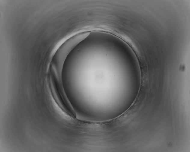 X0000091451524200708161248