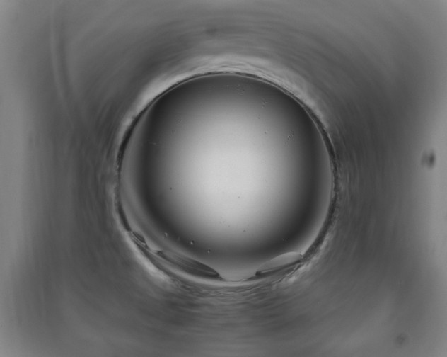 X0000091451525200708161248