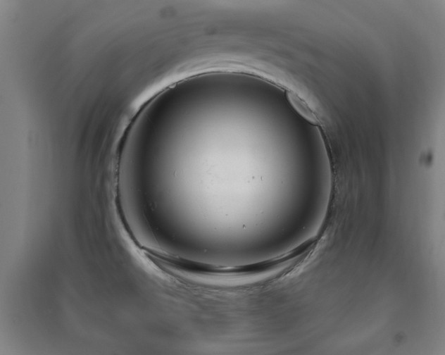 X0000091451526200708161248